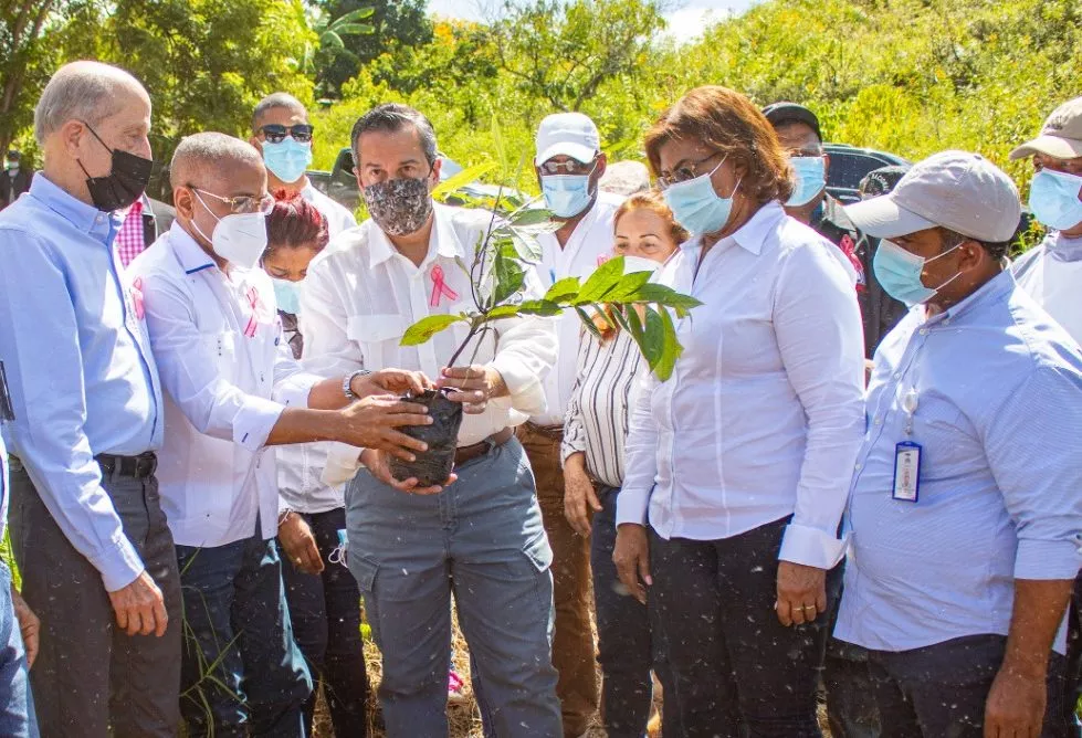 Medio Ambiente y la UTEPDA plantan más de 8 mil árboles en Pedernales