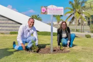 Promueven la Flor Nacional “Rosa de Bayahíbe” en aeropuertos del país