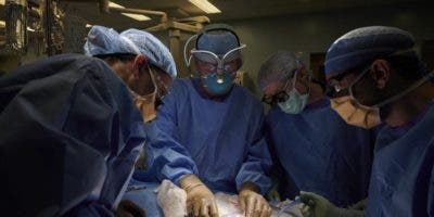 Unen temporalmente riñón de cerdo a cuerpo humano en NY