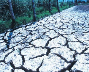 Suelos salinos aumentan inseguridad alimentaria