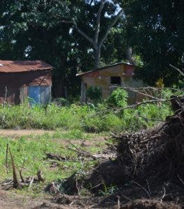 Invasores se adueñan de área verde en SDN