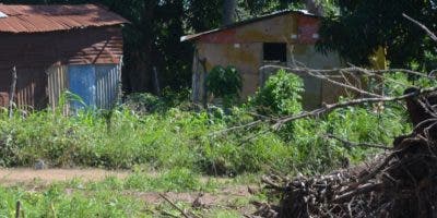 Invasores se adueñan de área verde en SDN