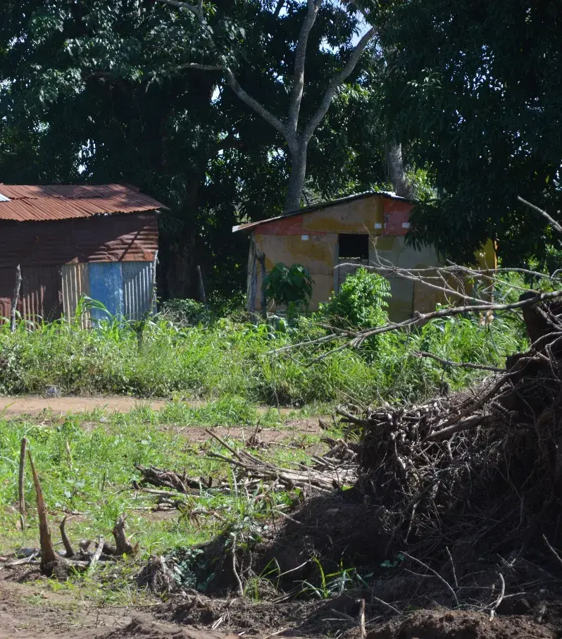 Invasores se adueñan de área verde en SDN