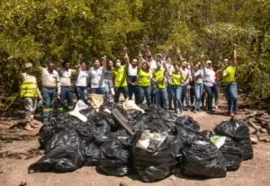 Serie de jornadas para recuperar manglares