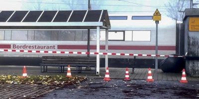 Alemania: Atacante en tren sufría de enfermedad mental