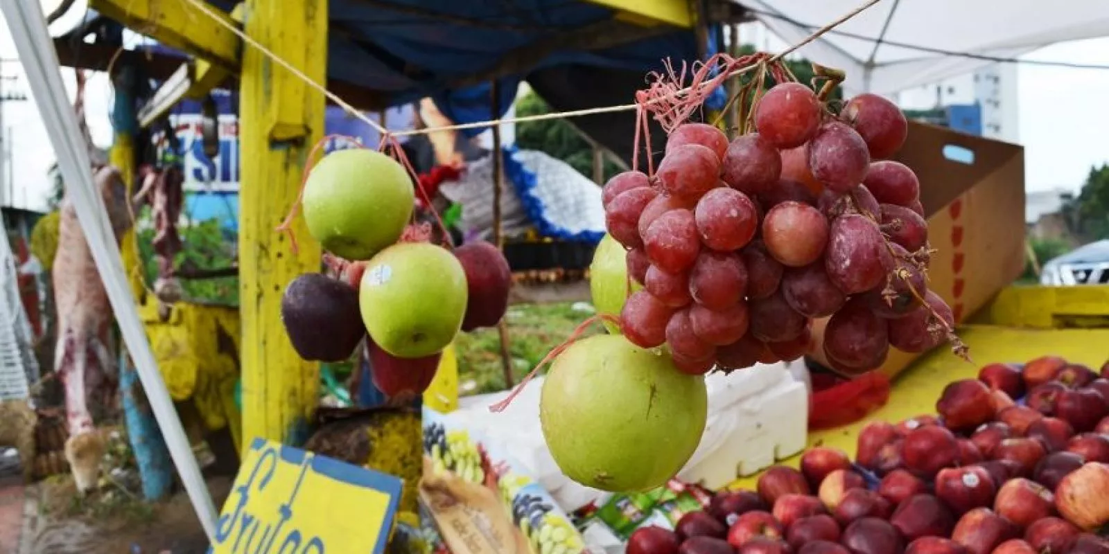 Frutas de navidad se tendrán a tiempo, pero a un precio más alto 