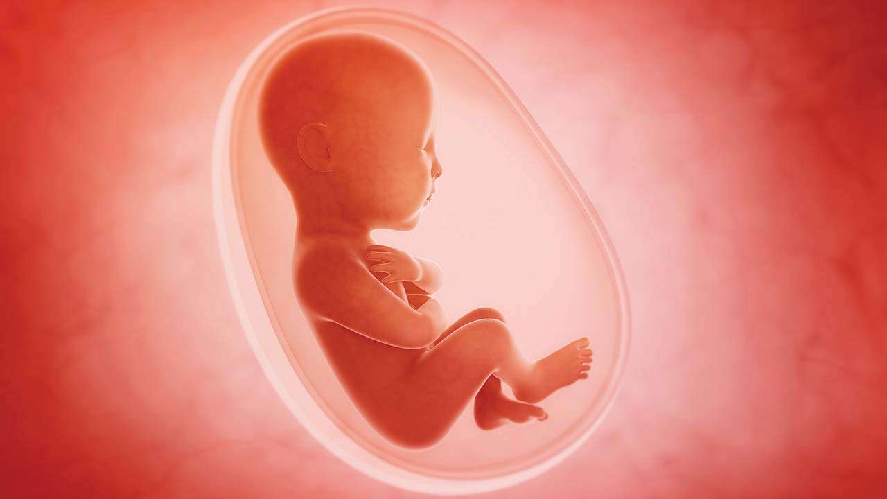 Mitos sobre el aborto- La legalización no los dispara ni causa cáncer de mama