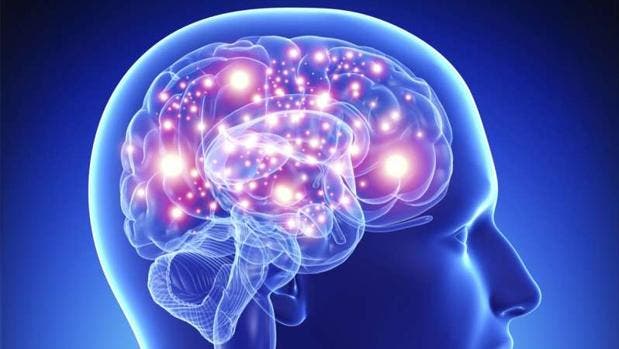 Nuevo estudio revela daños al cerebro del covid-19