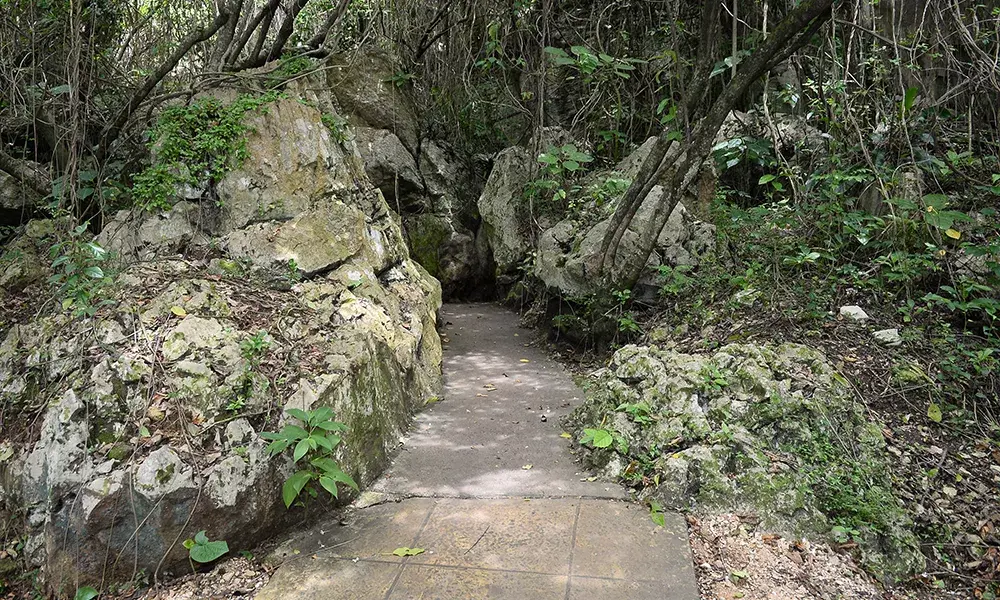 16 cavernas de las Cuevas del Pomier afectadas por minería en San Cristóbal, según informe