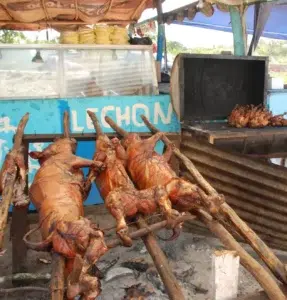 Productores garantizan carnes de cerdo y pollo en periodo navideño