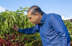 Presidente de INDUBAN cree ganancia café será histórica