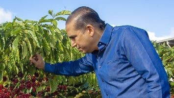 Presidente de INDUBAN cree ganancia café será histórica