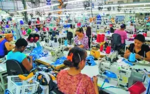 Sector textil denuncia entidad logra contratos forma ilegal