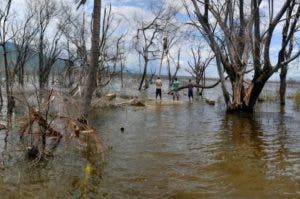 Organizaciones proponen medidas de adaptación ante amenaza del cambio climático  