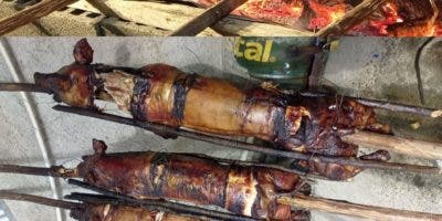 Se dinamiza economía en Puerto Plata por ventas cerdos asados y bebidas