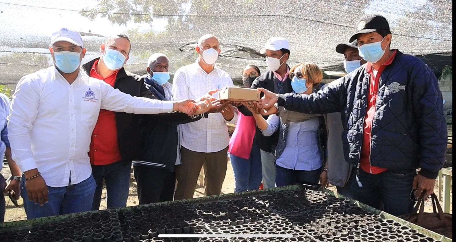 IAD recibe donación de semillas para proyecto de peras japonesas en Constanza 