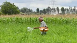 Qué es la urea, el imprescindible químico que amenaza con disparar todavía más la escasez global