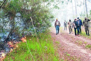 Incendio forestal Bahoruco han sido criminales