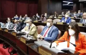 Diputados finalizan lectura Código Penal