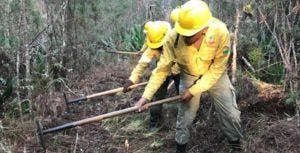 Incendio afectó 59 km2  en la  Sierra de Bahoruco