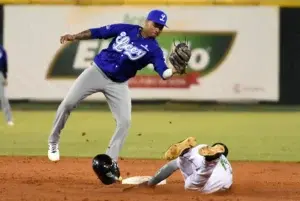 Tigres del Licey y Estrellas Orienatles salen en busca de primer triunfo de 2022