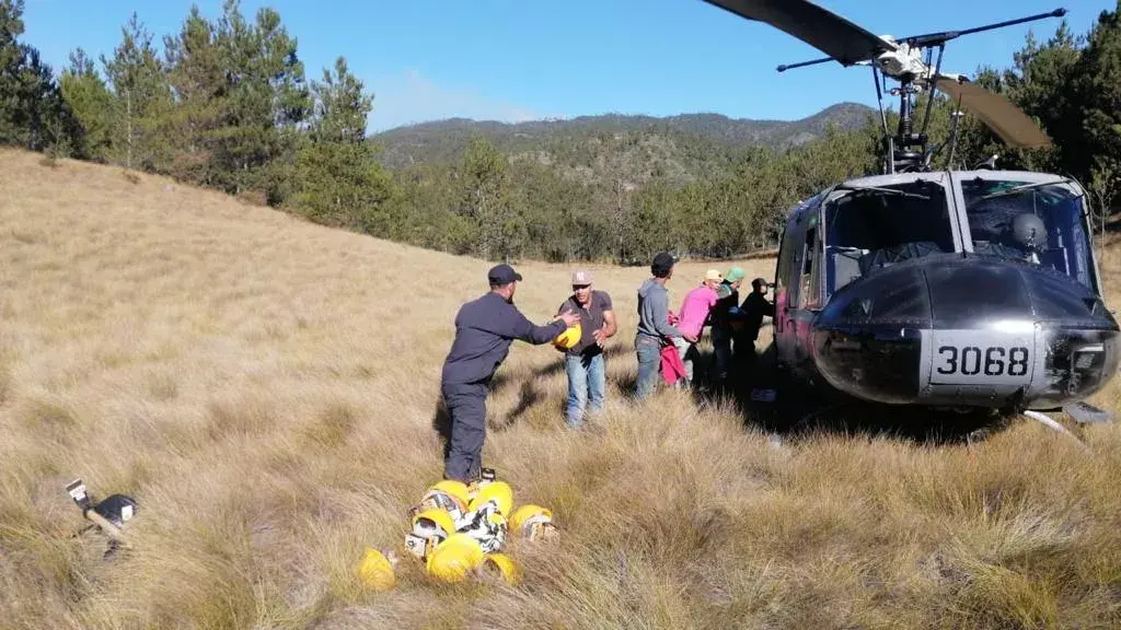 Medio Ambiente dice incendios en los parques nacionales José del Carmen Ramírez y José Armando Bermúdez están controlados