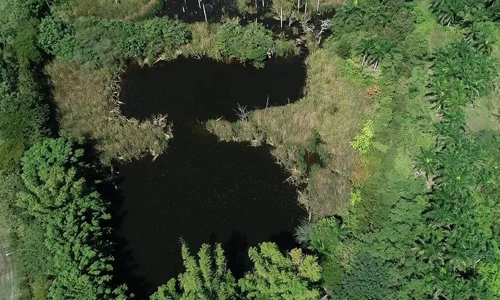 Presidente emite decreto que crea el Refugio de Vida Silvestre Humedales de Laguna Prieta