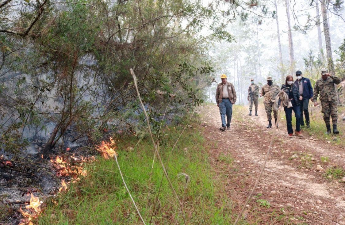 Se registran tres incendios forestales en Sierra de Bahoruco; Medio Ambiente los combate