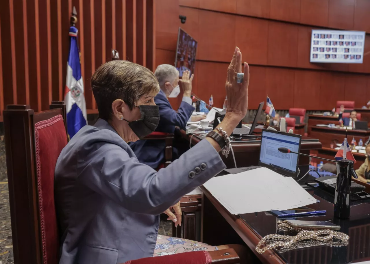 Senado aprueba en segunda lectura proyecto de Ley que regula el DNI