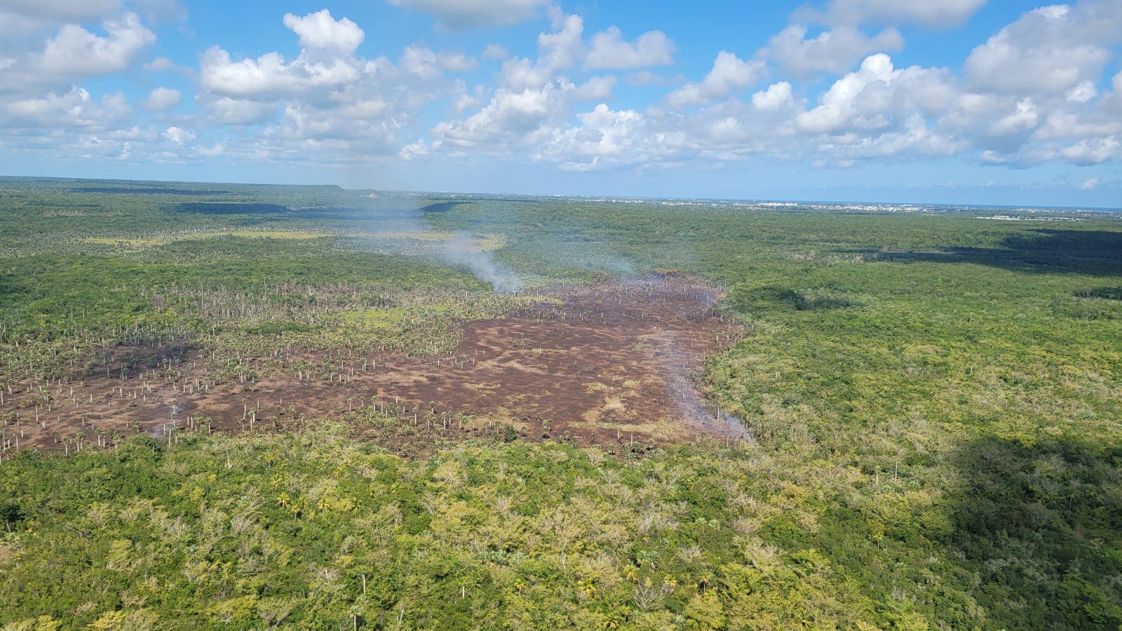 Fuerza Aérea sofoca incendio forestal próximo al Aeropuerto de Punta Cana