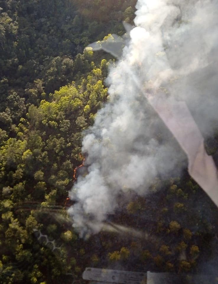 Medio Ambiente afirma que incendio en Loma de Miranda está totalmente controlado