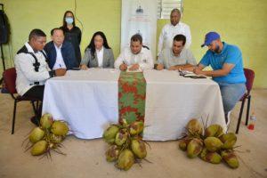 Impulsarán proyecto para la siembra de coco en Nagua