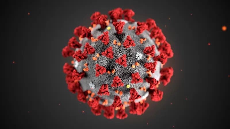 Covid: por qué las vacunas de células T podrían ser la clave para la inmunidad a largo plazo