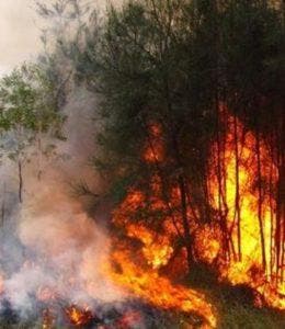 Incendios afectaron 60 kilómetros de Sierra Bahoruco