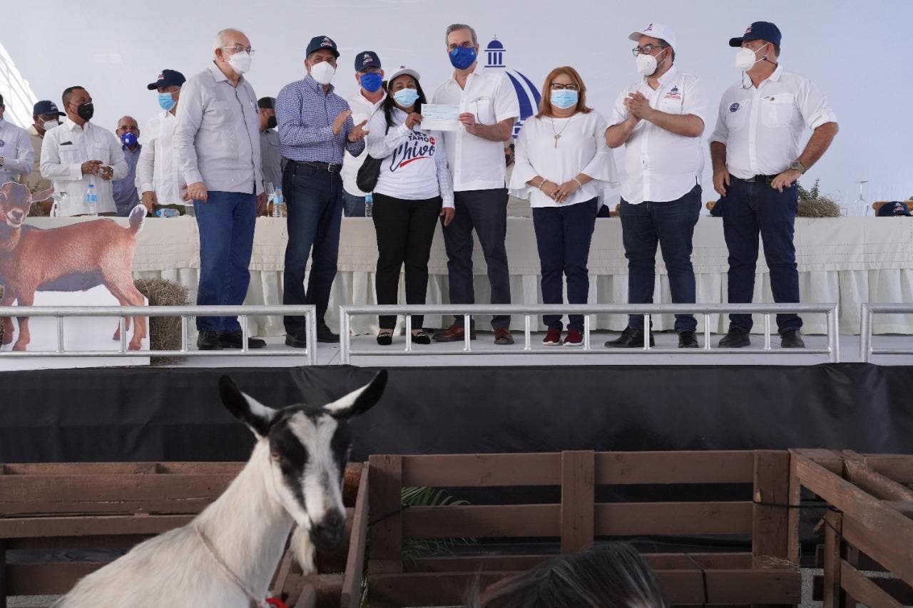 Gobierno pone en marcha proyecto para impulsar crianza de chivos y ovejas en Azua