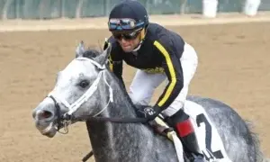 Dominicano Joel Rosario gana premio Eclipse como mejor jockey de Estados Unidos