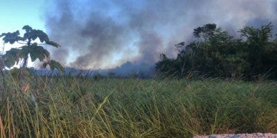 Incendio forestal afecta zona en Las Terrenas
