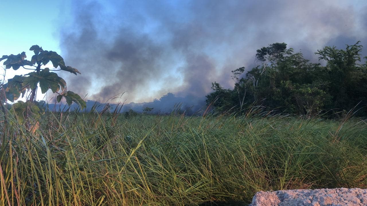 Incendio forestal afecta zona en Las Terrenas