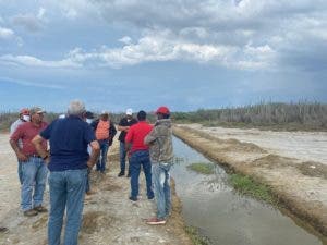 Identifican puntos para restauración de manglares en Montecristi