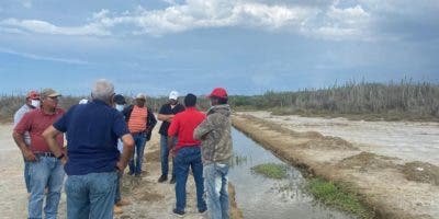 Identifican puntos para restauración de manglares en Montecristi