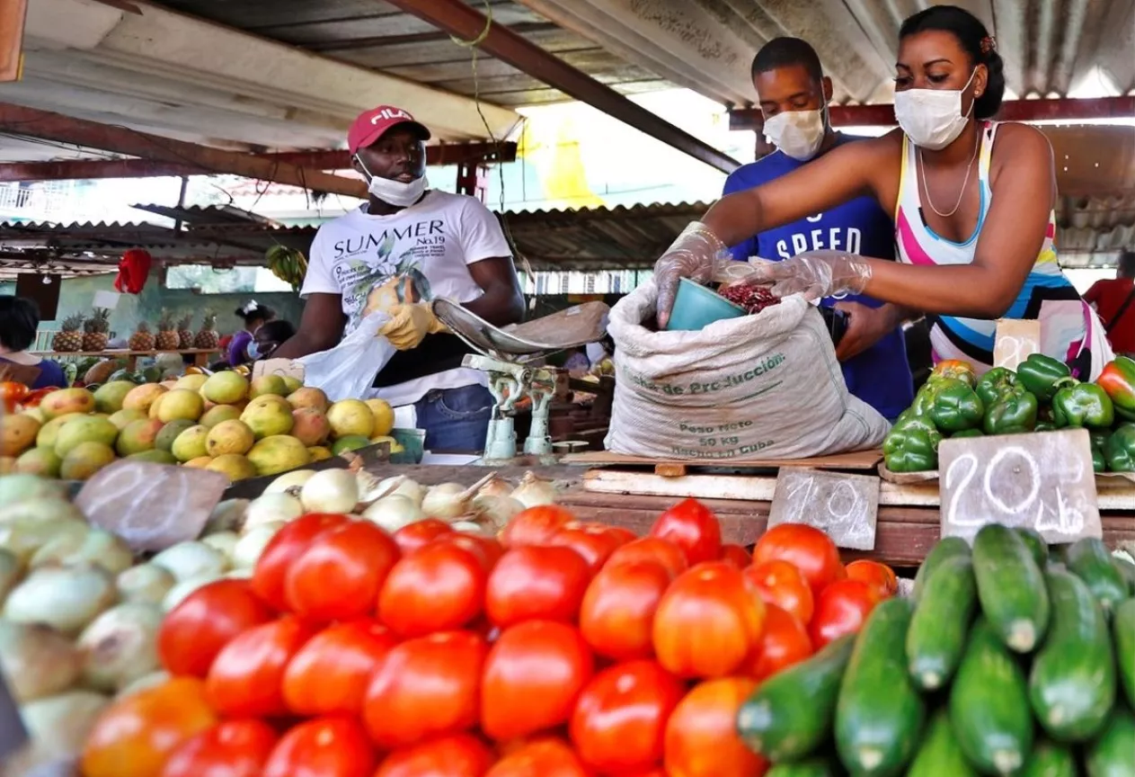 Productores agro garantizan abasto de alimentos RD