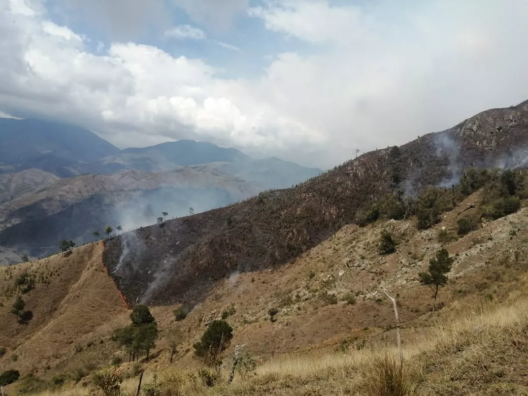 Medio Ambiente informa incendios en Valle Nuevo y Casabito están controlados