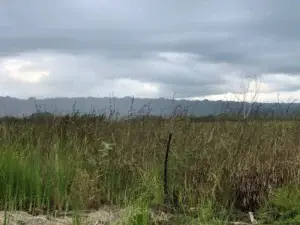 Extinguen fuego del Monumento Natural Lagunas de Cabarete y Coleta