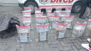 Autoridades logran inmovilizar más de 60 millones de dólares al narcotráfico