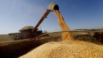 Ucrania anuncia que comenzará a exportar cereal esta semana