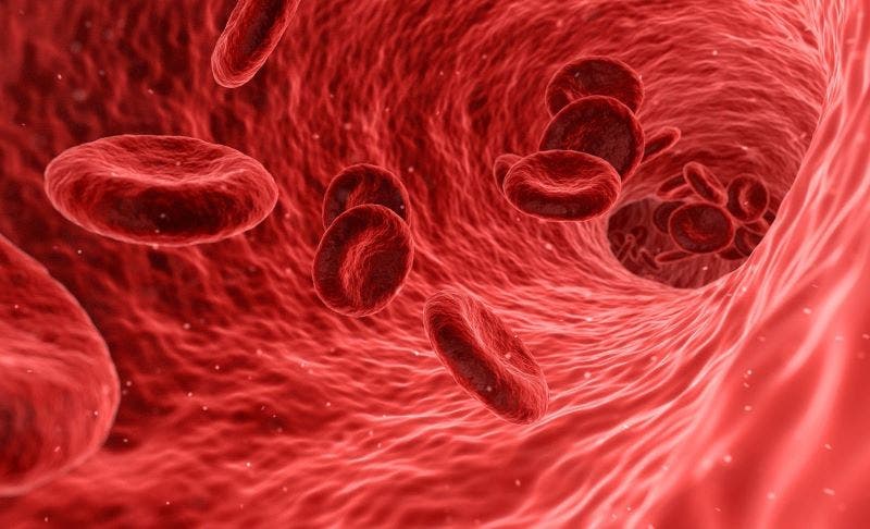 Hemofilia: Una vida activa y sin sangrados es posible con la profilaxis