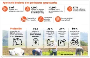 Producción agrícola ha aumentado en el país  pese a pandemia y guerra