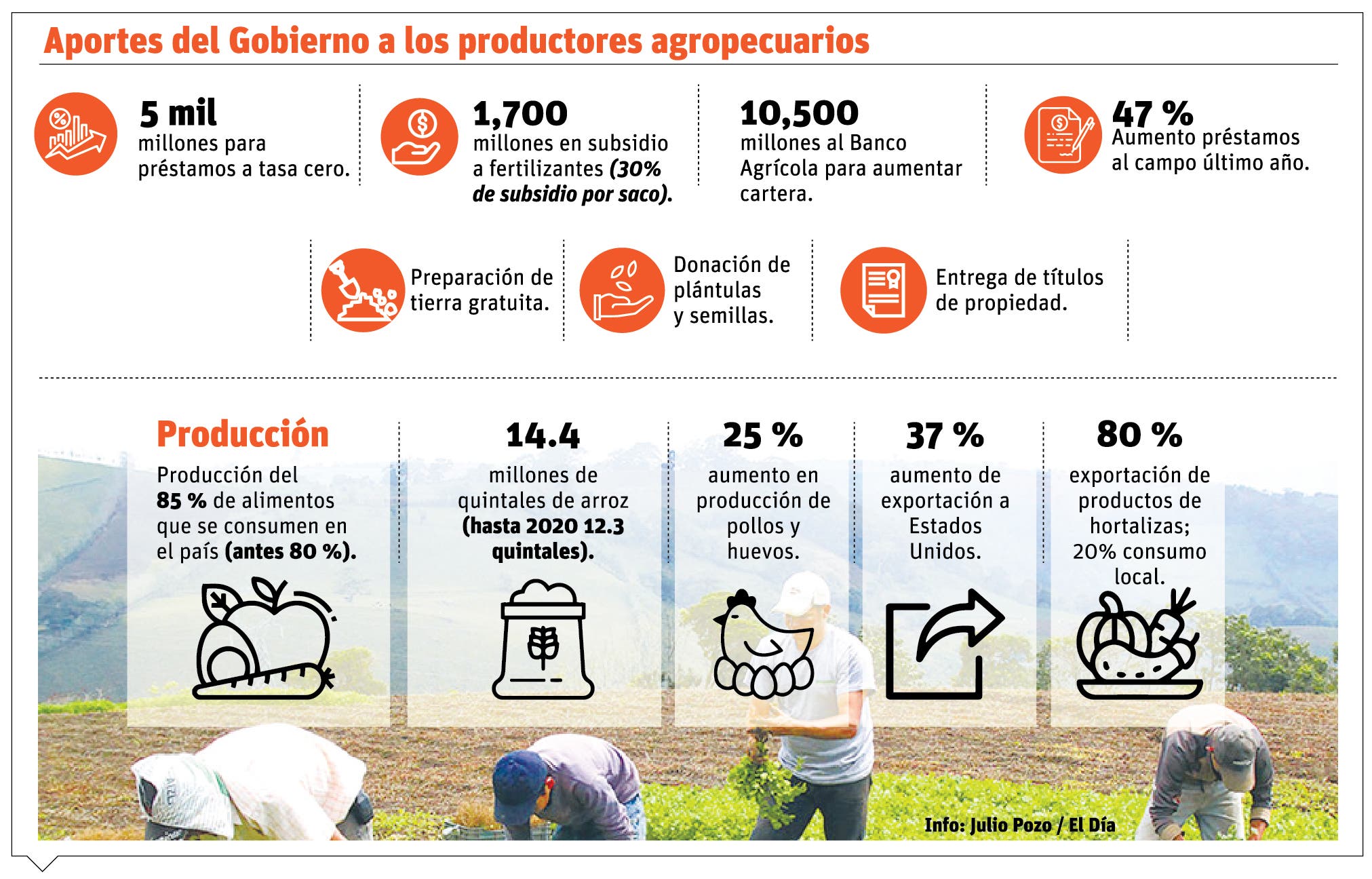 Producción agrícola ha aumentado en el país  pese a pandemia y guerra
