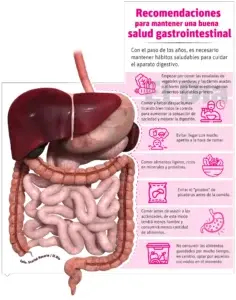 Importancia de cuidar la salud gastrointestinal