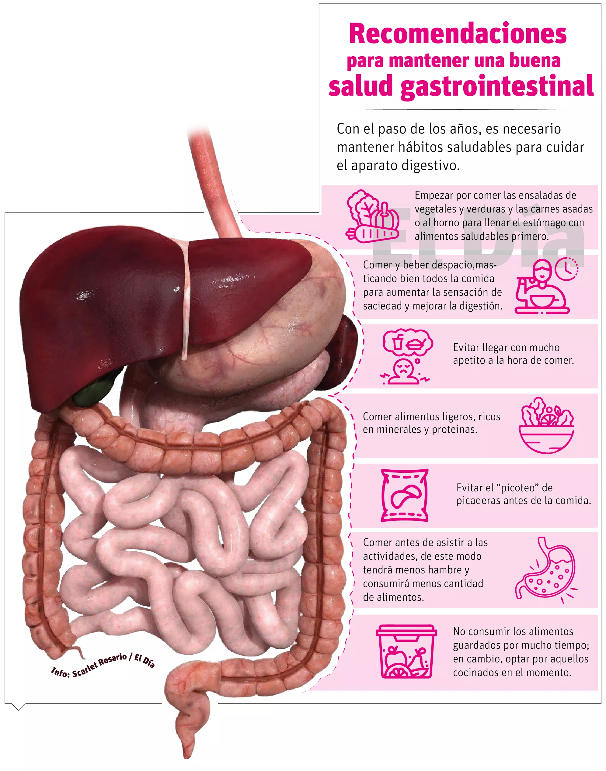 Importancia de cuidar la salud gastrointestinal